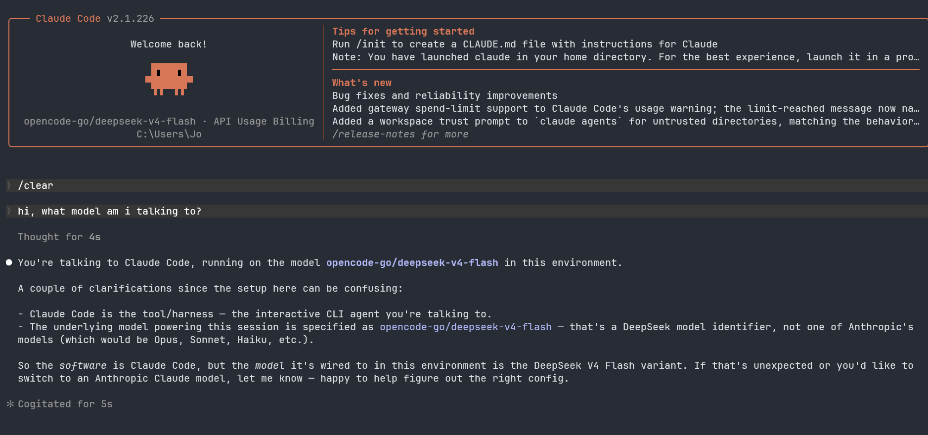 Claude Code terminal showing the selected custom model after the setup is done