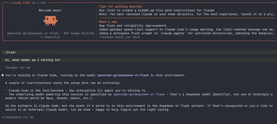 Claude Code terminal showing the selected custom model after the setup is done